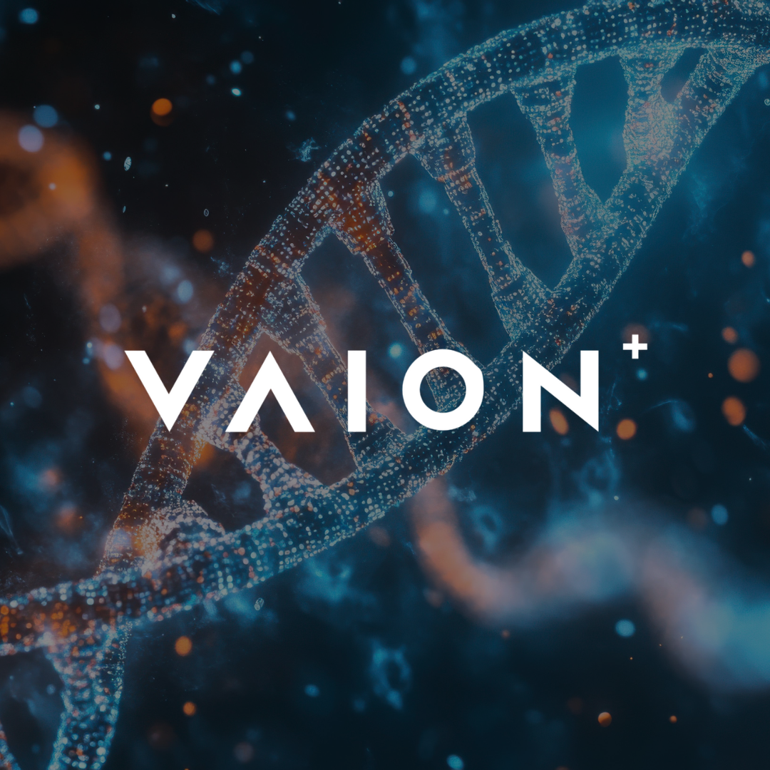 VAION Fundamentals Training