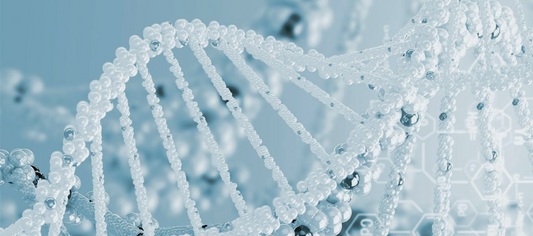 What Are Polynucleotides and How Are They Revolutionising Aesthetic Treatments?